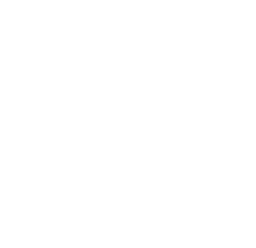 Christ The King College crest